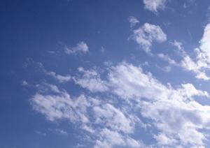 愛知県で墓石を購入するためには