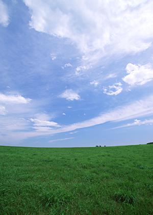 静岡県浜松市に誕生した「家族葬のタクセル豊町」? 家族の絆を大切にする低価格・安心の家族葬専門式場