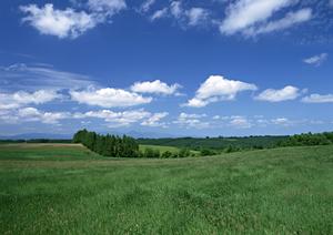 焼津市における家族葬と小規模葬儀の専門：富士葬祭焼津中央の詳細ガイド