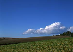 静岡県浜松市の家族葬・斎場【家族葬のタクセル佐鳴台】｜安心・低価格の家族葬ホール