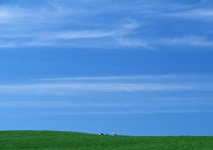 静岡県の葬儀・家族葬・火葬【家族葬のタクセル】低価格・安心の葬儀サービスを徹底解説