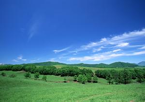 2025年版 浅草エリアのお墓事情と選び方完全ガイド