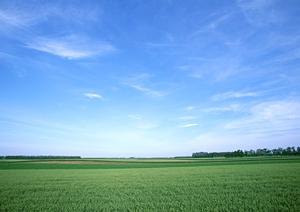 静岡県富士市の家族葬専門斎場｜家族葬のタクセル国久保の特徴とご利用ガイド