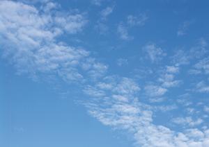 静岡で安心できる葬儀を提供する富士葬祭 静岡の全てを解説