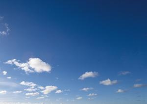 403 Forbiddenに関する解説と対処法｜ウェブサイトアクセス制限の理解と解決策