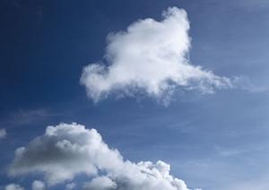 品川の納骨堂選びに迷わない！安心・便利な施設ガイドと供養のすすめ