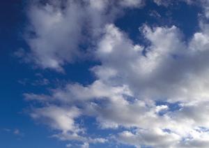 静岡県藤枝市の家族葬と安心の葬儀サービス：富士葬祭藤枝城南の詳細ガイド