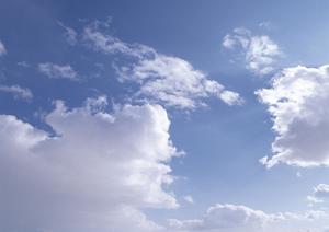 浜松市中央区の家族葬と葬儀場の総合案内【富士葬祭 高林】- 安心・信頼の葬儀サービス