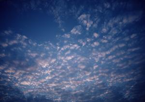 静岡市清水区の家族葬に最適な斎場・葬儀場【家族葬のタクセル上原】の詳細情報と特徴解説